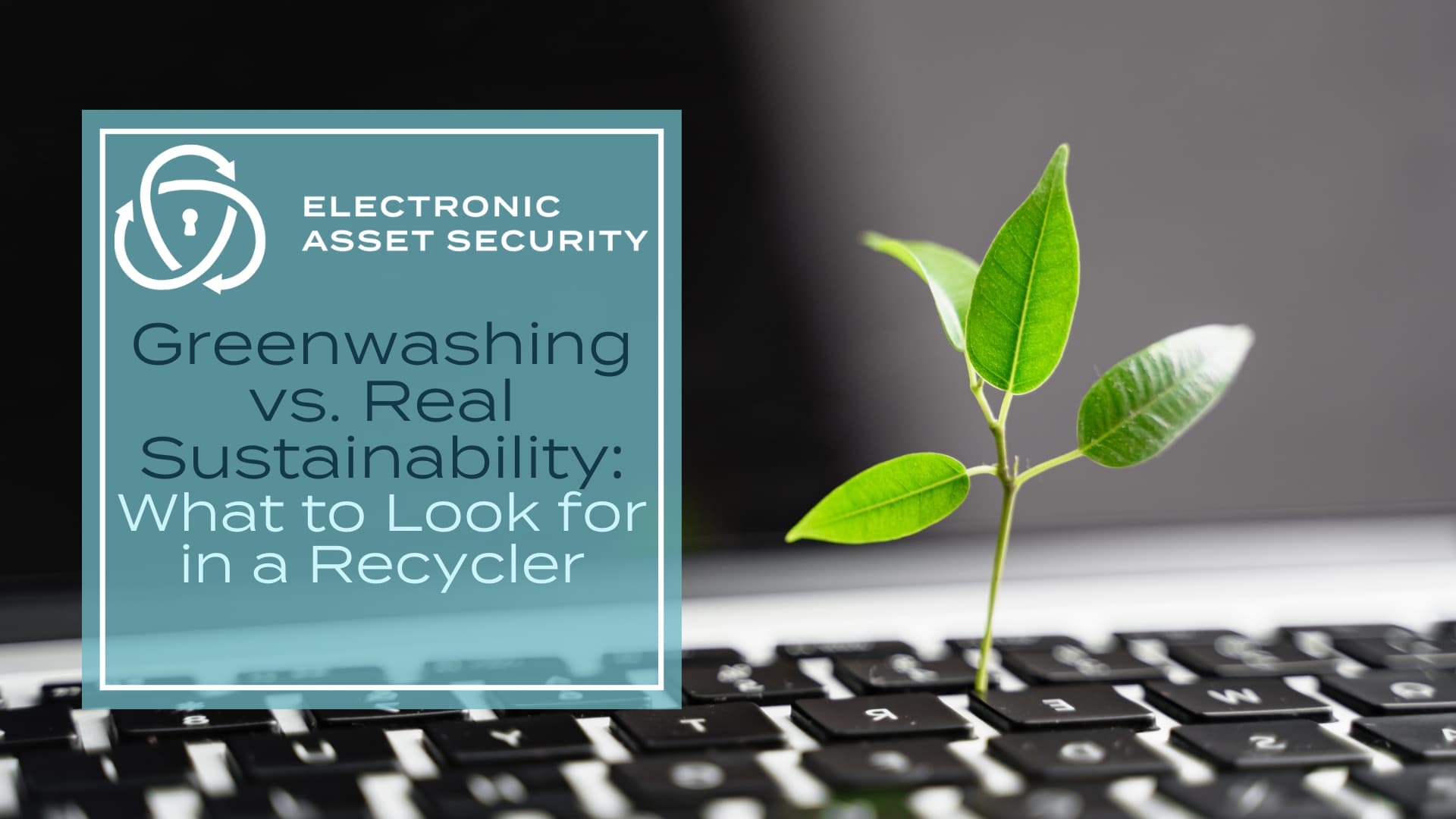 Greenwashing vs Real Sustainability What to Look for in a Recycler