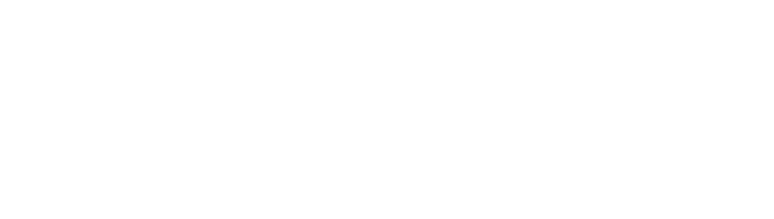 Electronic Asset Security